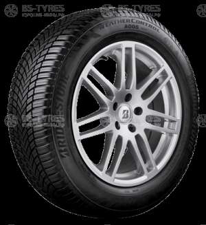 Weather Control A005 EVO