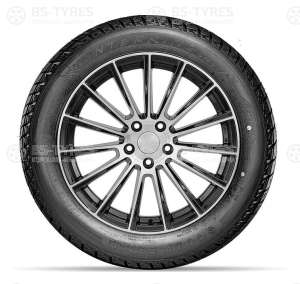 Doublestar DW01 195/65 R15 91T