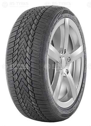FronWay Icemaster I 205/50 R17 93H