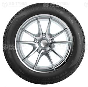 Tigar Winter 215/40 R17 87V