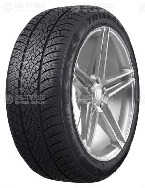 Triangle WinterX TW401 205/50 R17 93V