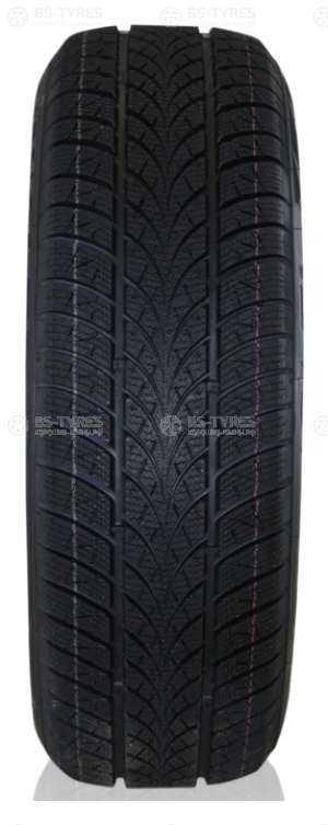 Triangle WinterX TW401 205/50 R17 93V